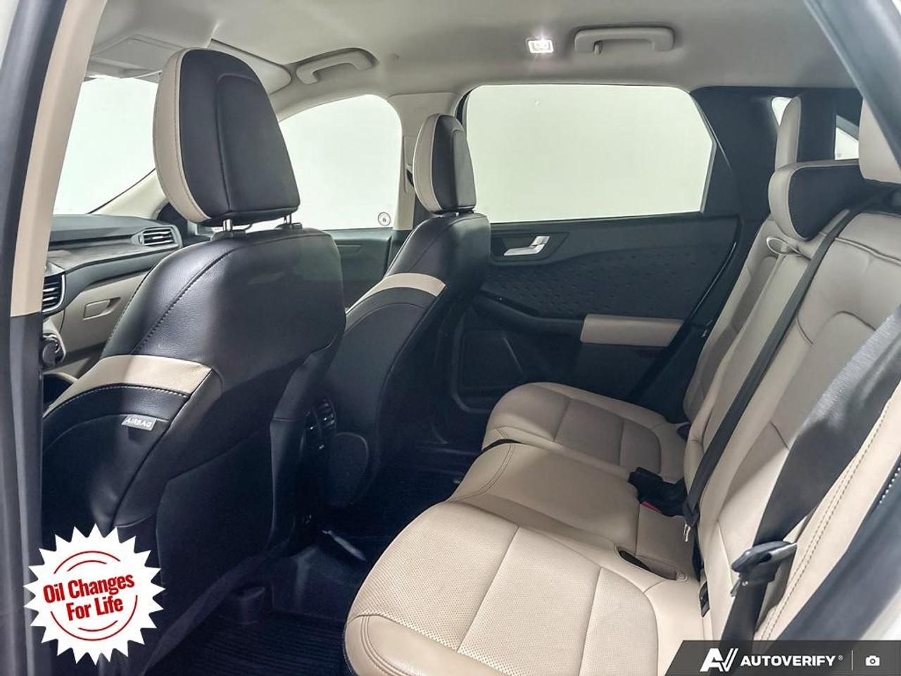 2020 Ford Escape Titanium Hybrid AWD Photo