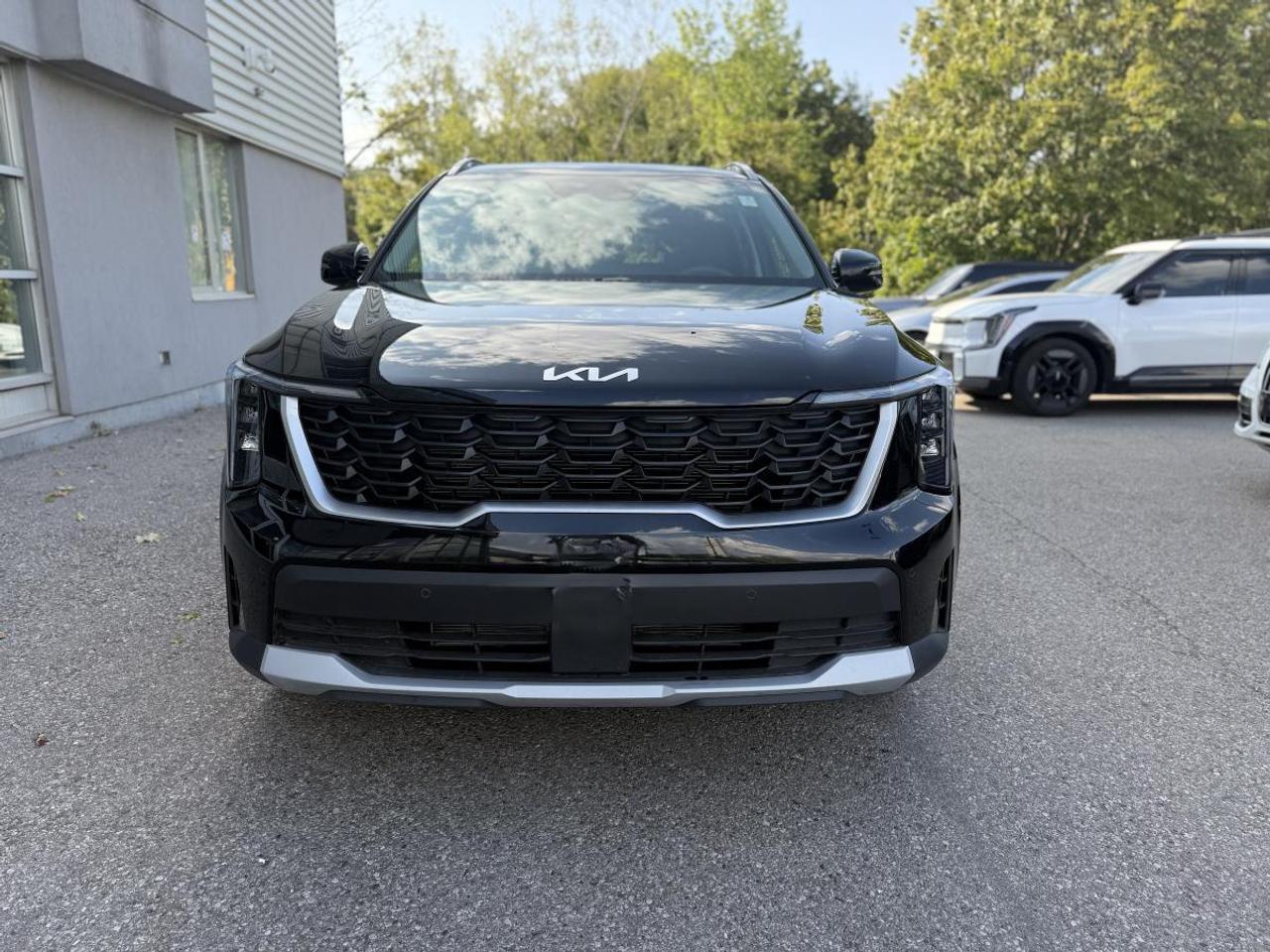 2024 Kia Sorento LX AWD Photo