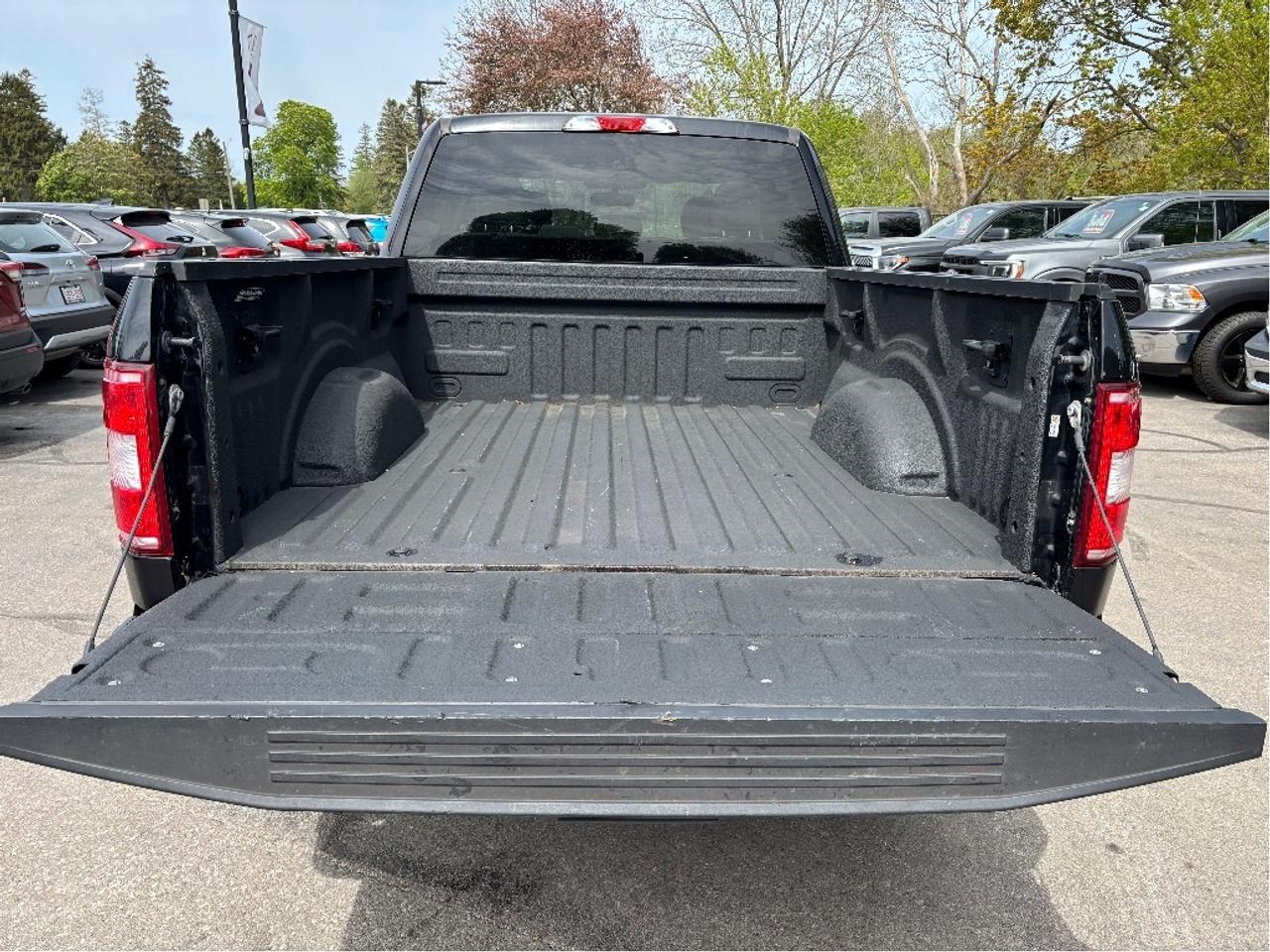 2020 Ford F-150 XLT 4WD NO ADMIN FEES! NO GAS FEES! NO ACCIDENTS Photo