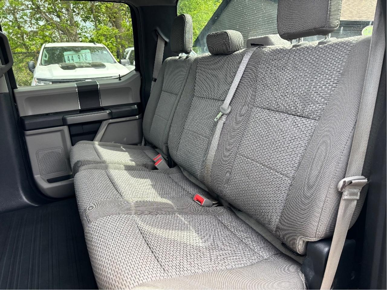 2020 Ford F-150 XLT 4WD NO ADMIN FEES! NO GAS FEES! NO ACCIDENTS Photo