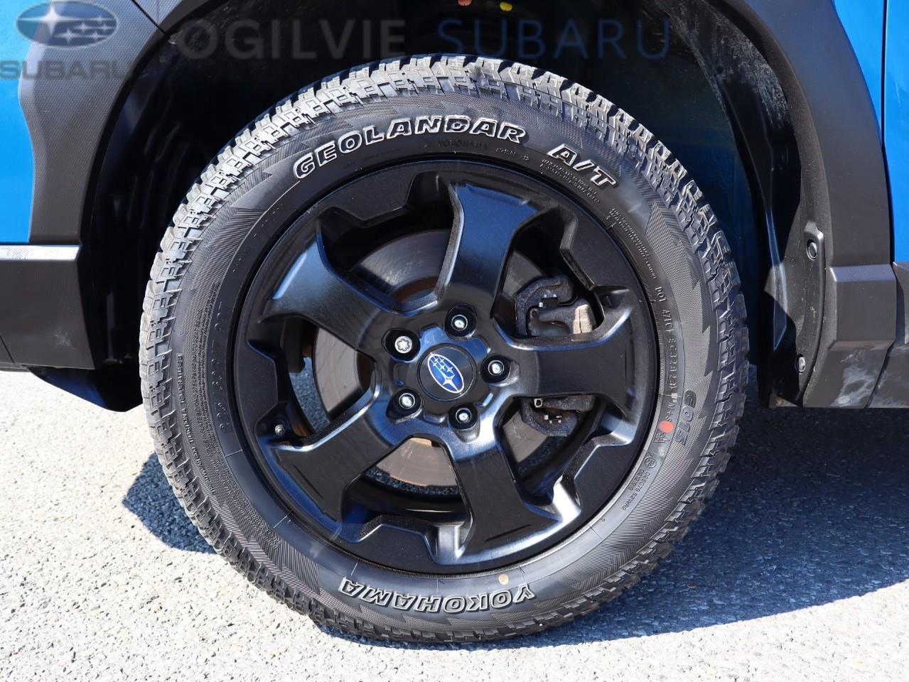 2024 Subaru Forester Wilderness 4dr All-Wheel Drive Photo