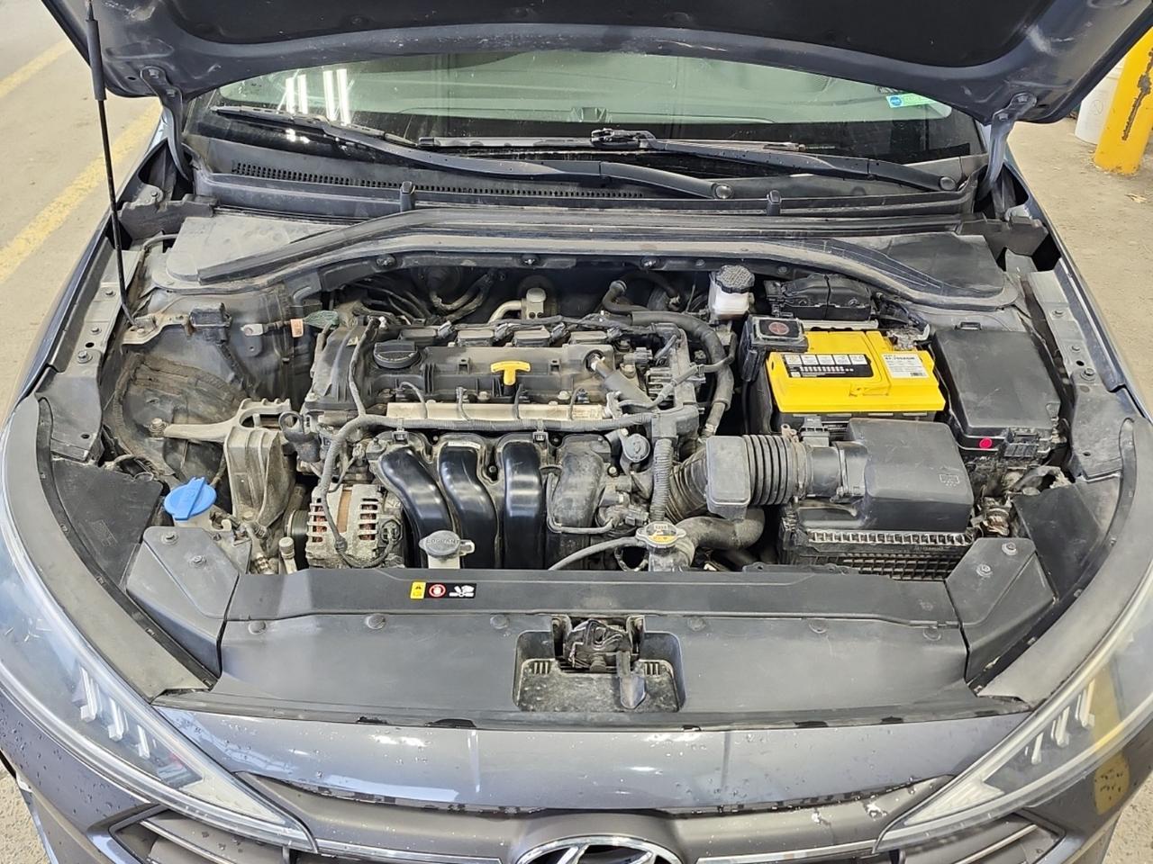 2019 Hyundai Elantra Limited Photo