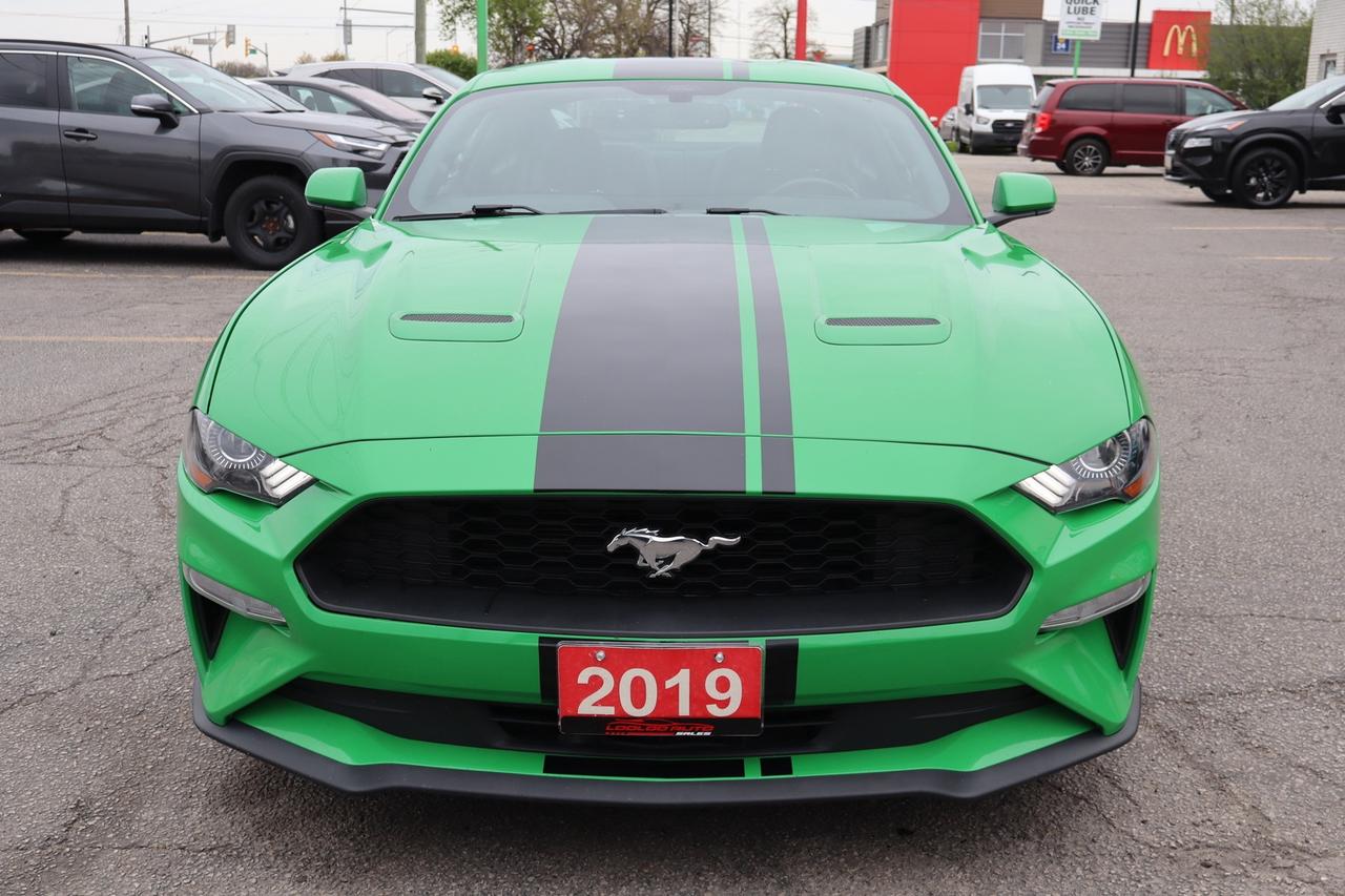 2019 Ford Mustang EcoBoost Coupe   No Accident   Clean Carfax Photo