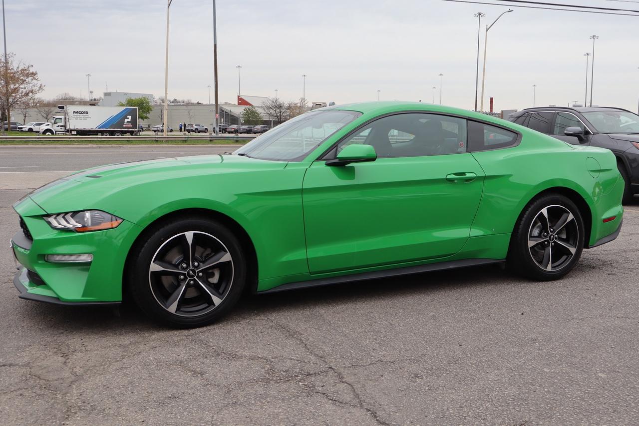 2019 Ford Mustang EcoBoost Coupe   No Accident   Clean Carfax Photo