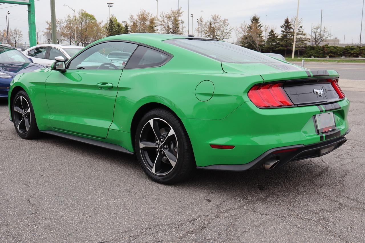 2019 Ford Mustang EcoBoost Coupe   No Accident   Clean Carfax Photo