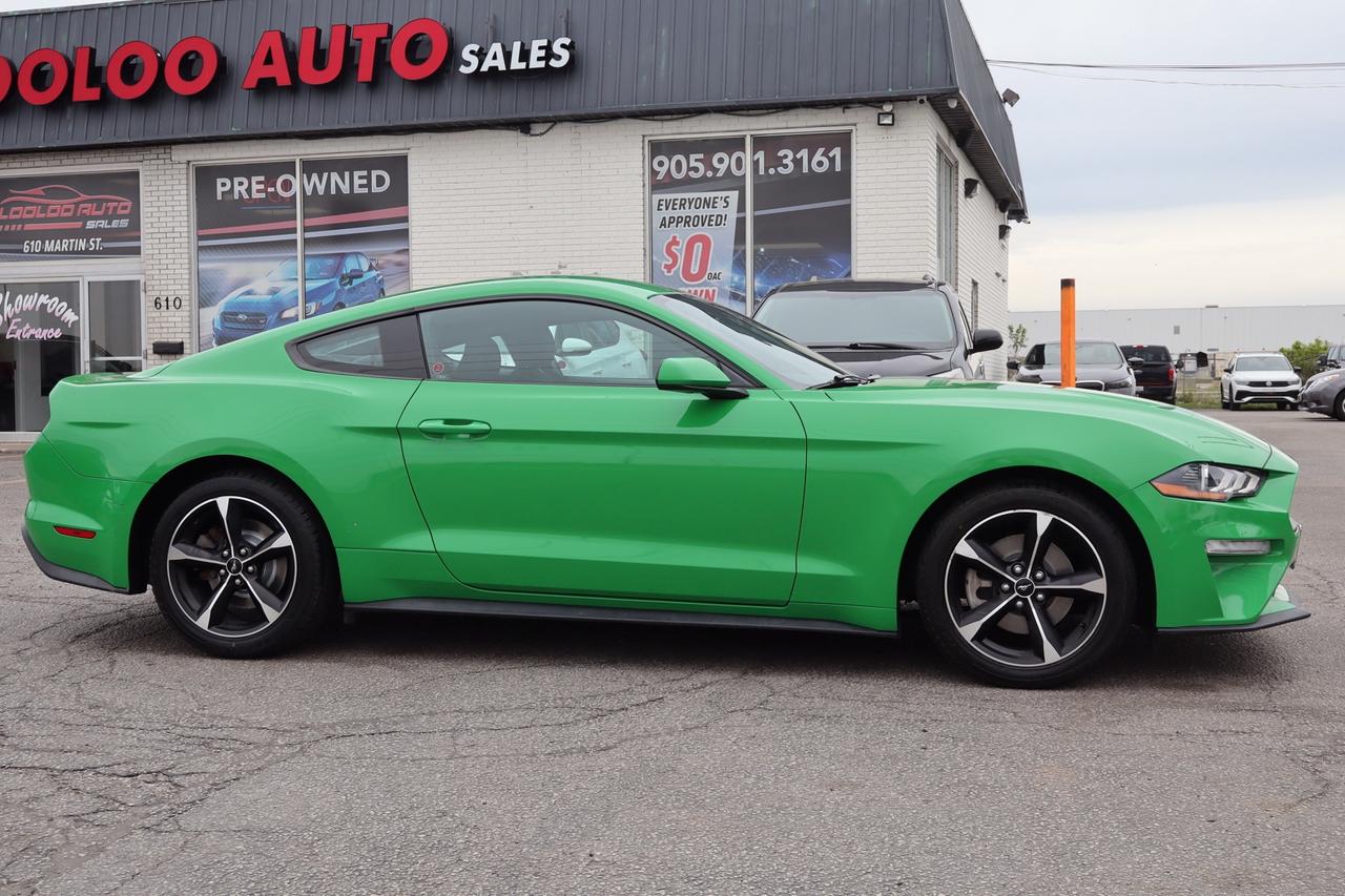 2019 Ford Mustang EcoBoost Coupe   No Accident   Clean Carfax Photo