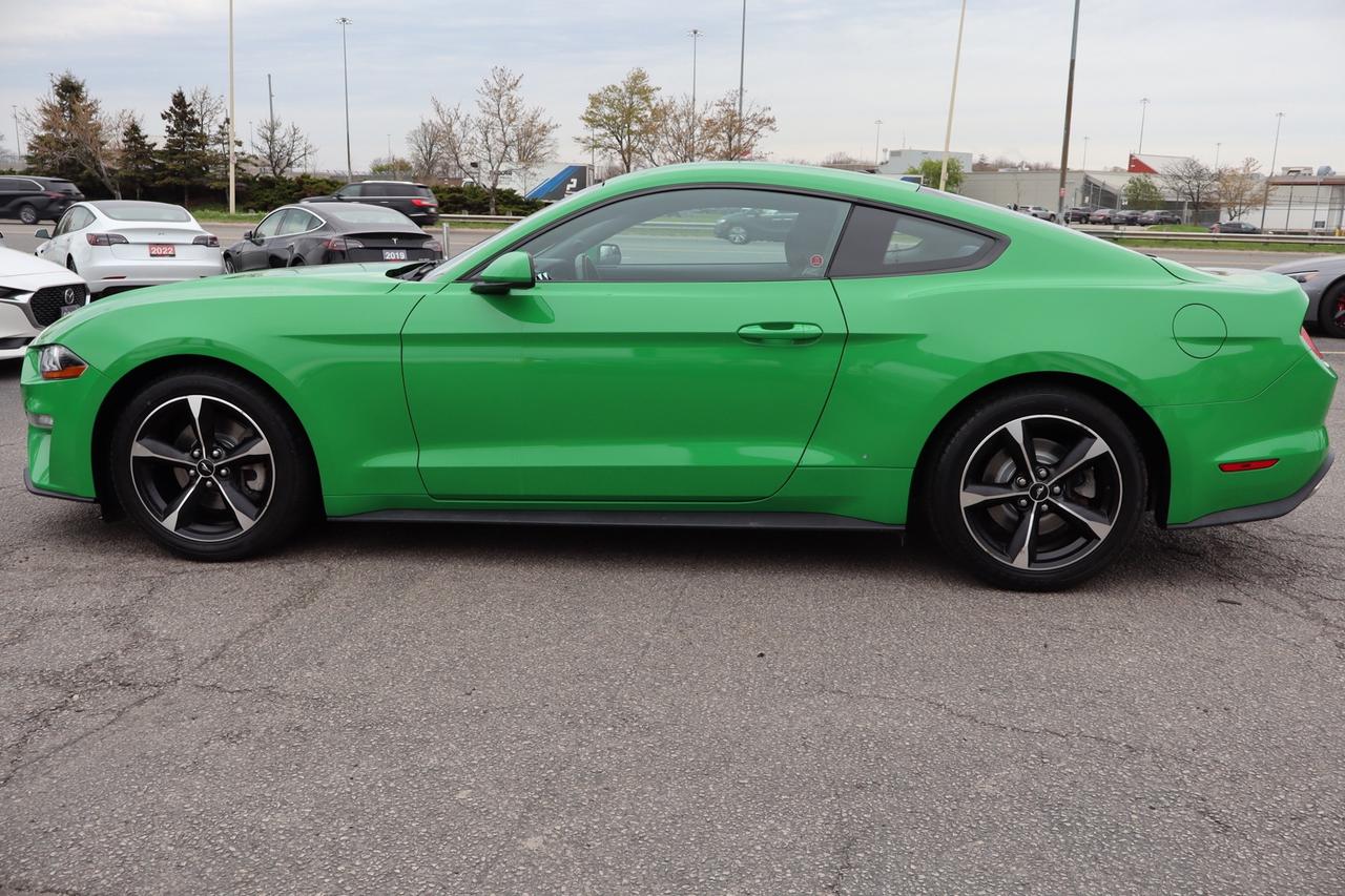 2019 Ford Mustang EcoBoost Coupe   No Accident   Clean Carfax Photo