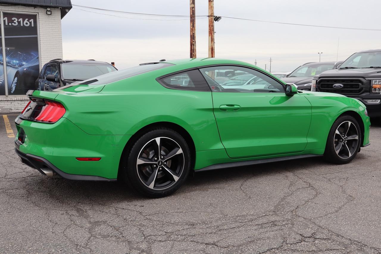 2019 Ford Mustang EcoBoost Coupe   No Accident   Clean Carfax Photo
