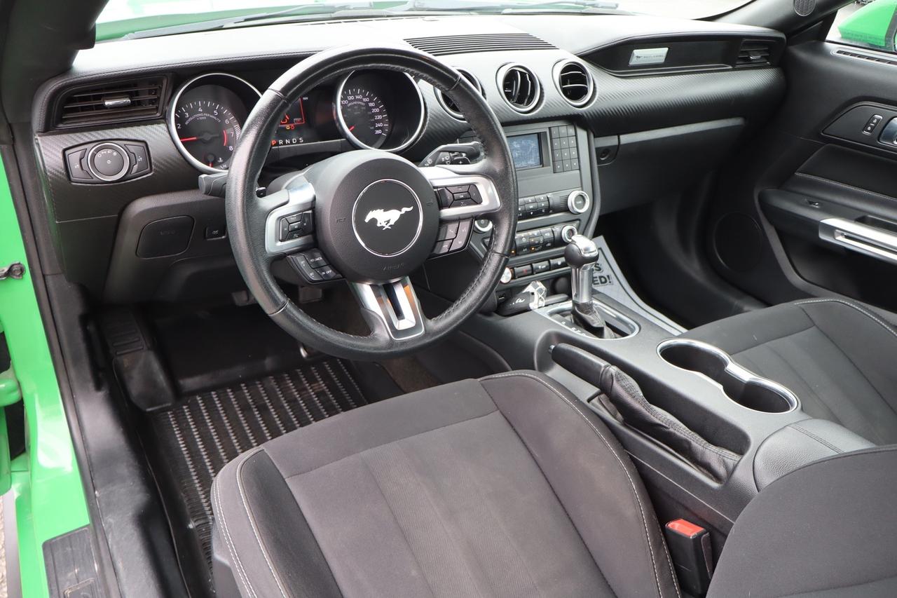 2019 Ford Mustang EcoBoost Coupe   No Accident   Clean Carfax Photo