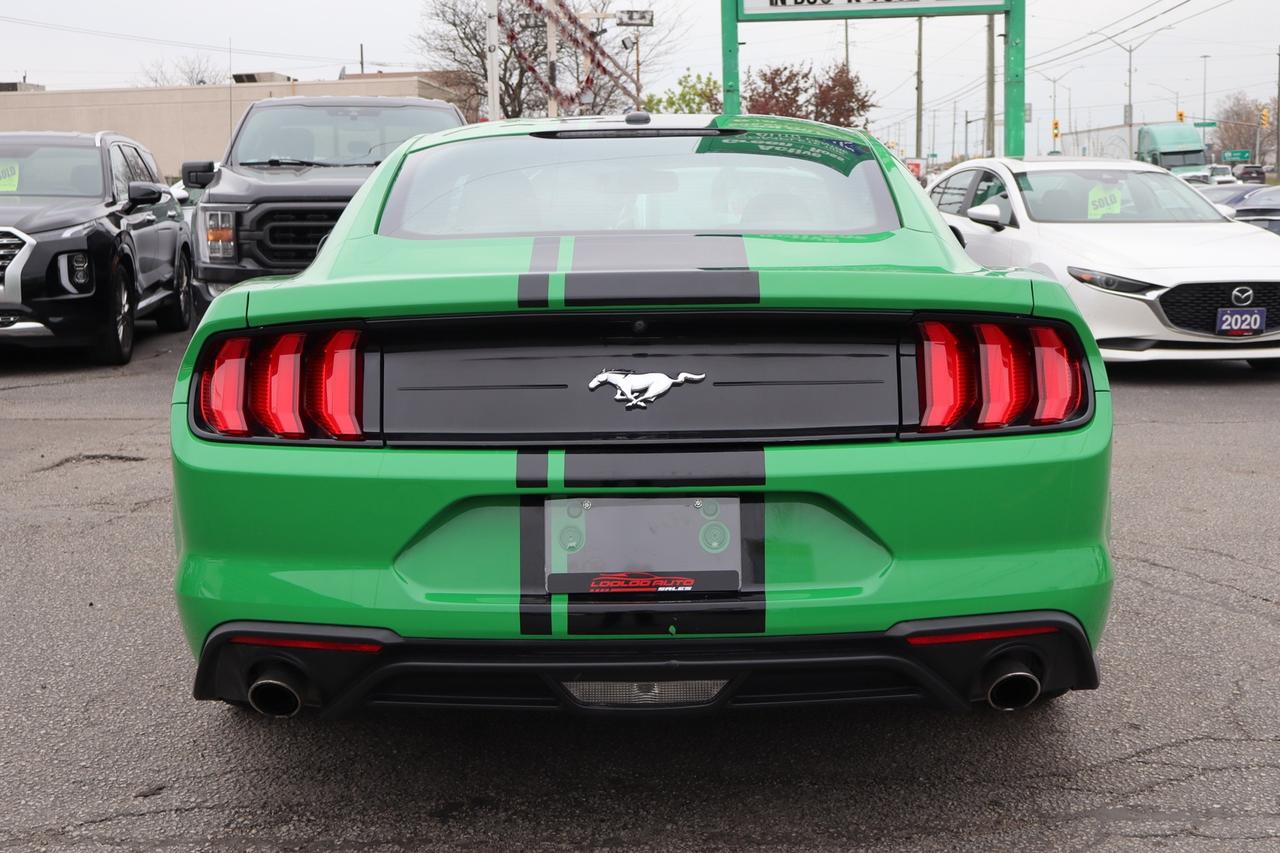 2019 Ford Mustang EcoBoost Coupe   No Accident   Clean Carfax Photo