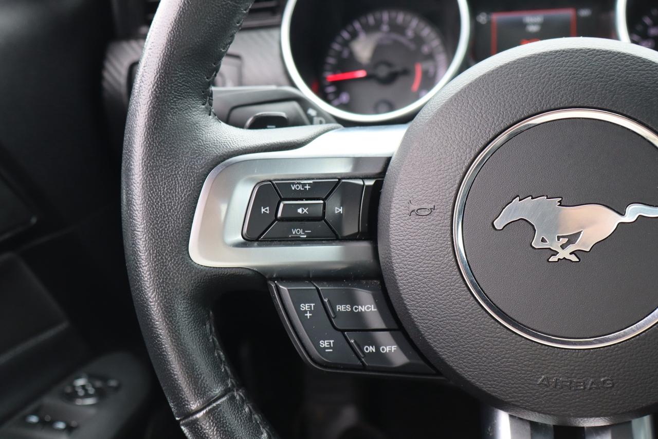 2019 Ford Mustang EcoBoost Coupe   No Accident   Clean Carfax Photo
