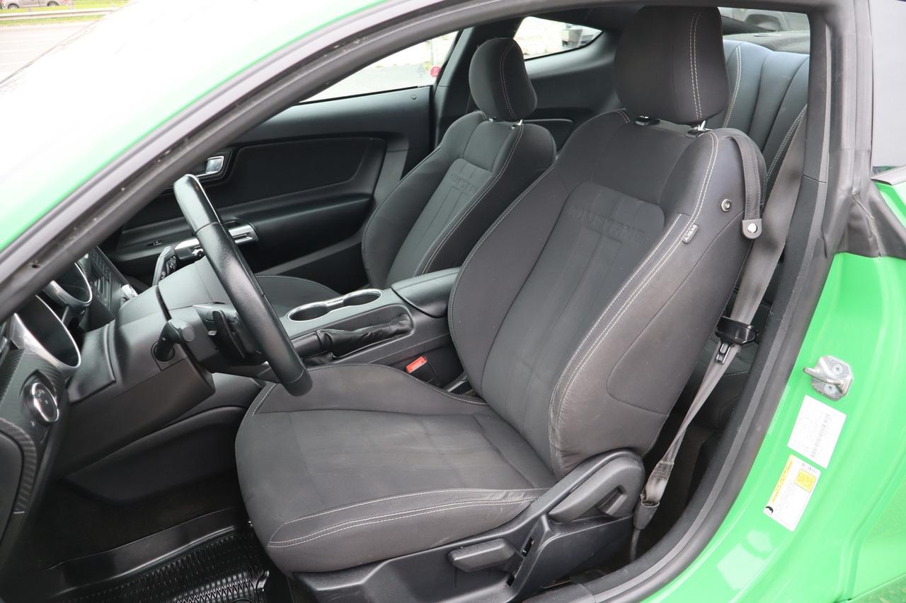 2019 Ford Mustang EcoBoost Coupe   No Accident   Clean Carfax Photo