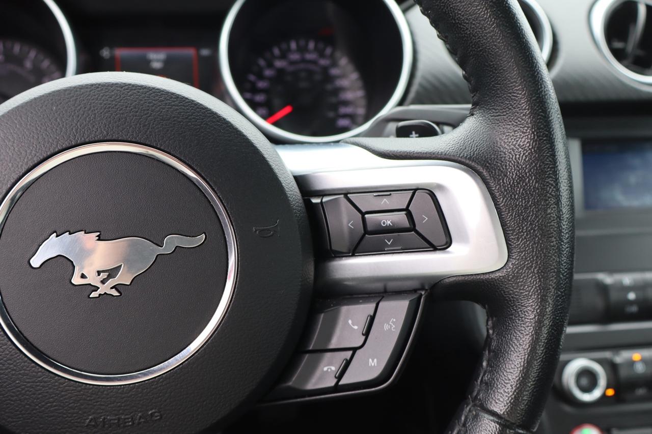 2019 Ford Mustang EcoBoost Coupe   No Accident   Clean Carfax Photo