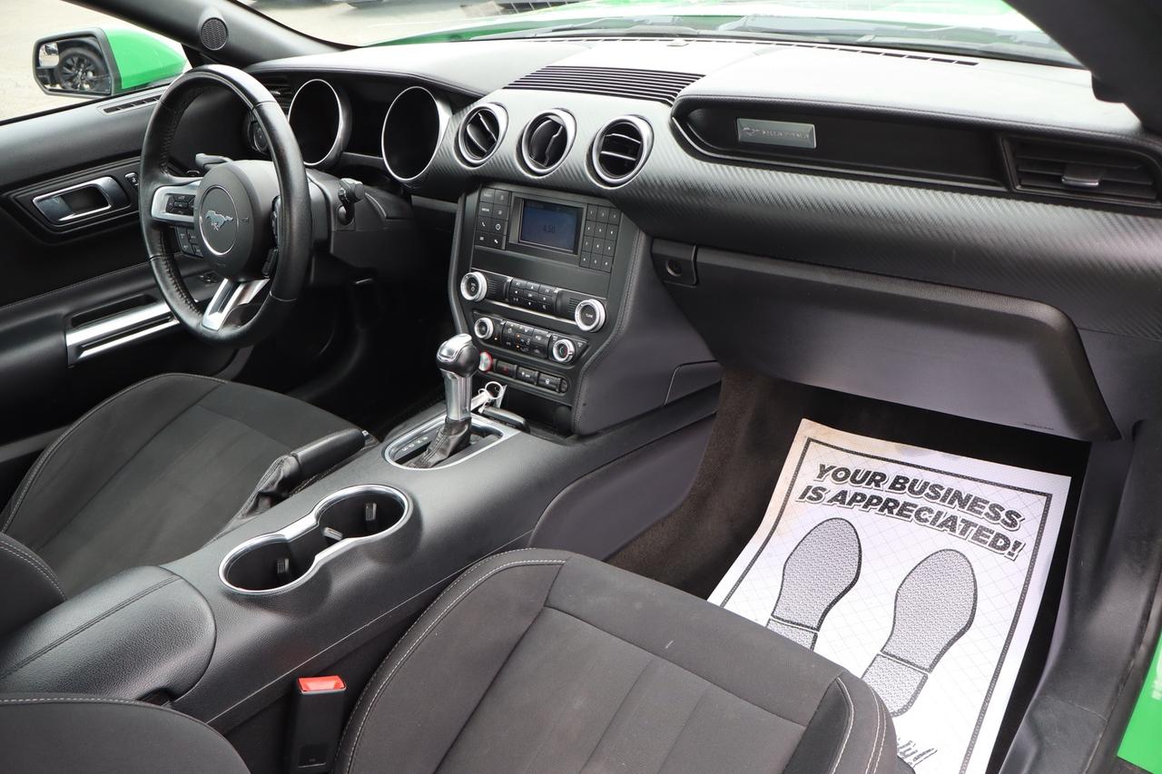 2019 Ford Mustang EcoBoost Coupe   No Accident   Clean Carfax Photo