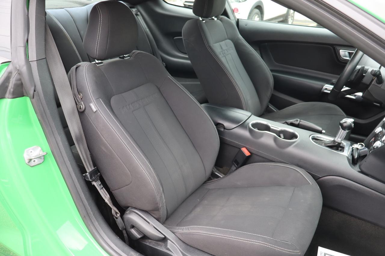 2019 Ford Mustang EcoBoost Coupe   No Accident   Clean Carfax Photo