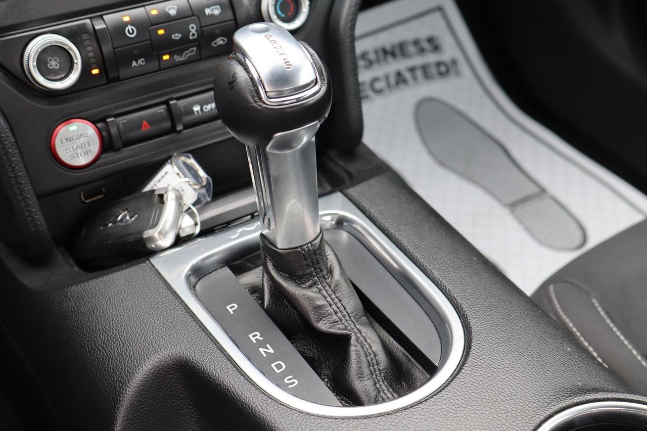 2019 Ford Mustang EcoBoost Coupe   No Accident   Clean Carfax Photo
