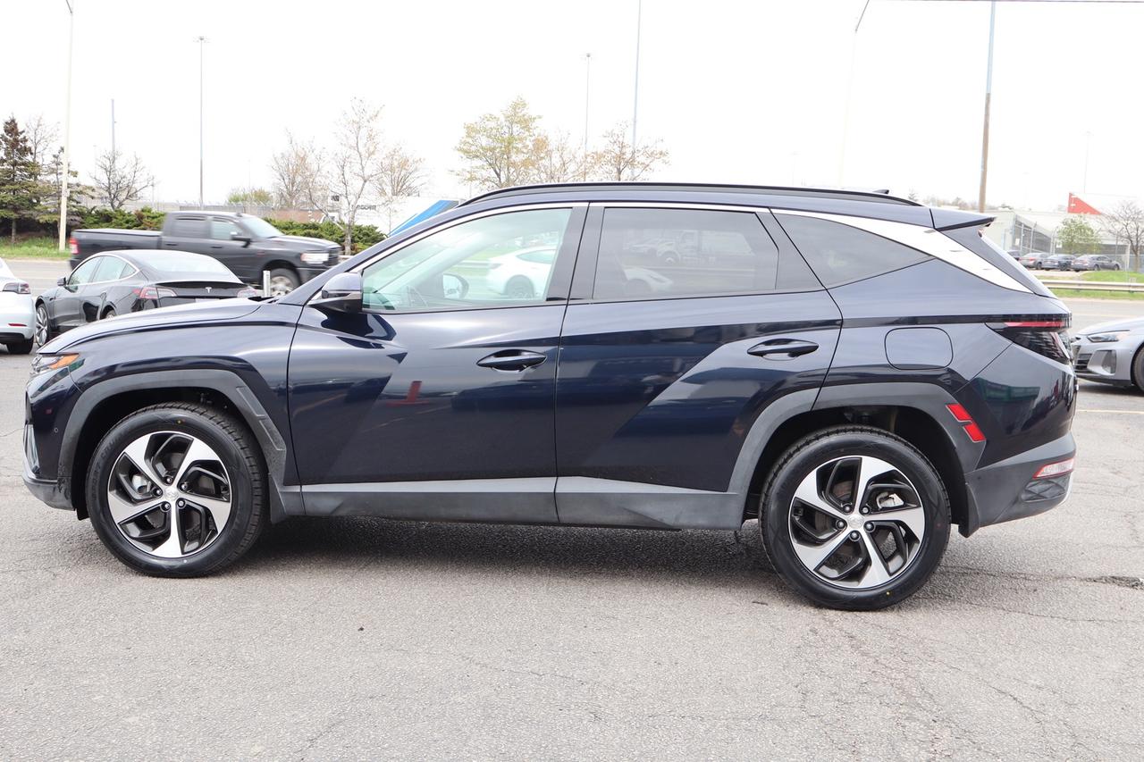 2024 Hyundai Tucson Hybrid Ultimate AWD   No Accident   Clean Carfax   360 Ca Photo