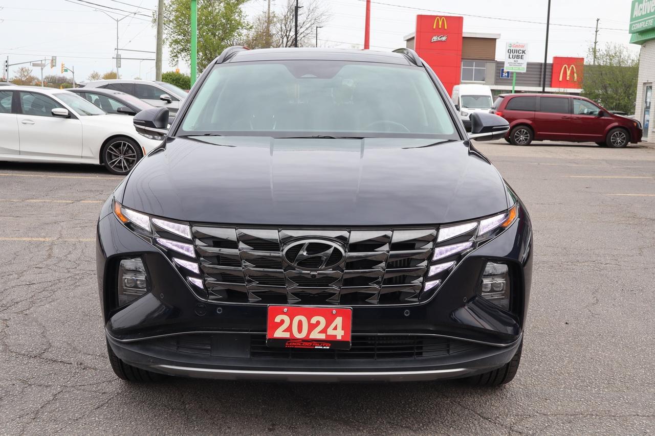 2024 Hyundai Tucson Hybrid Ultimate AWD   No Accident   Clean Carfax   360 Ca Photo