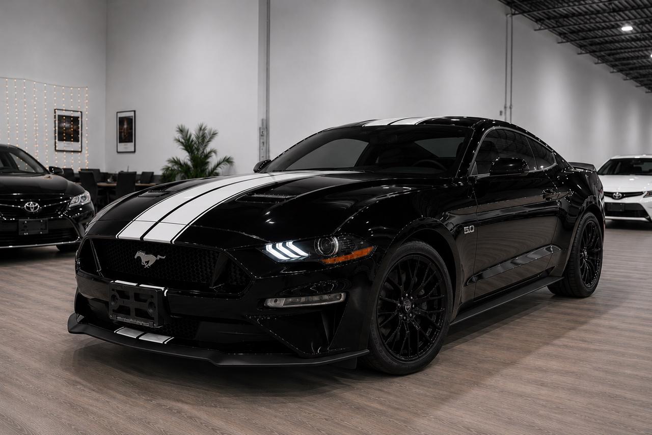 2019 Ford Mustang EB Fastback||Clean Carfax Photo
