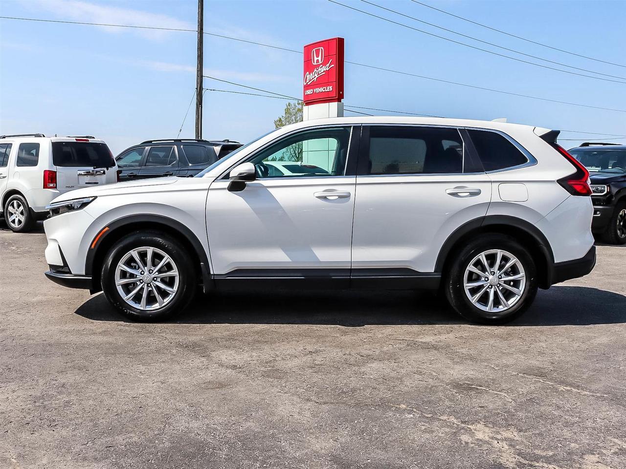 2024 Honda CR-V EX-L Photo