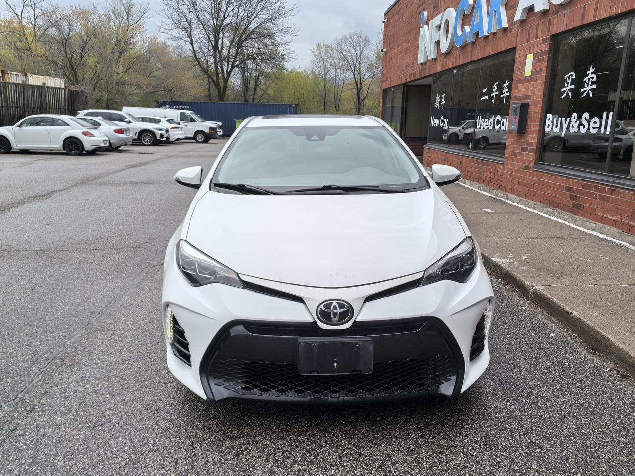 2019 Toyota Corolla LE Photo