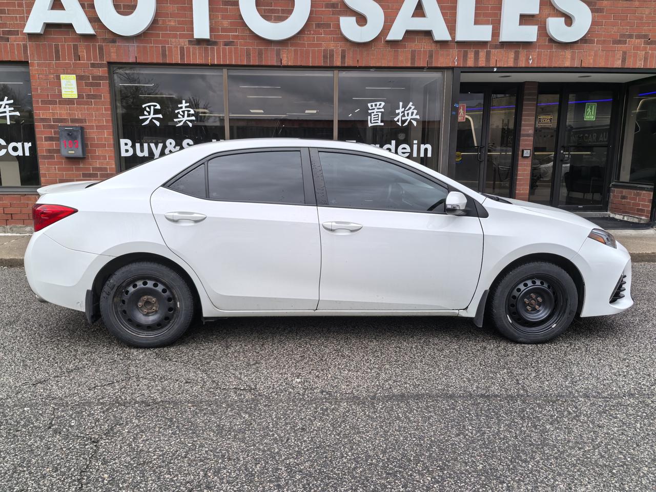 2019 Toyota Corolla LE Photo