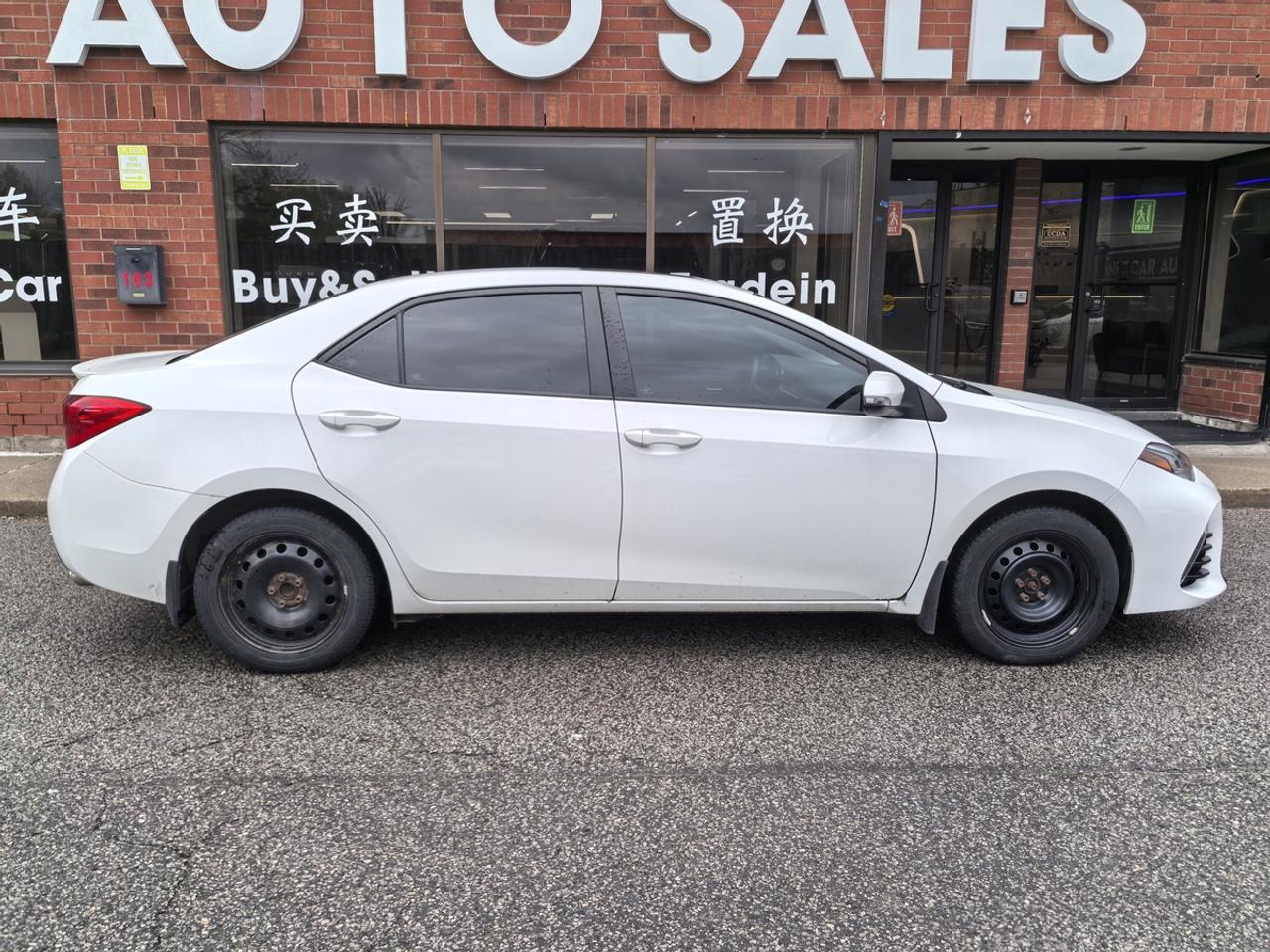 2019 Toyota Corolla LE Photo