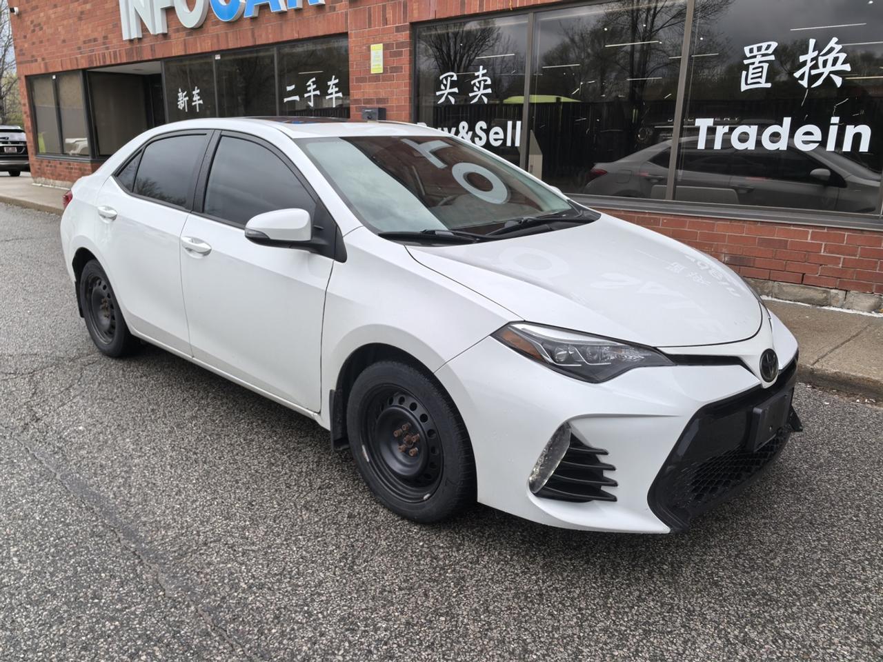2019 Toyota Corolla LE Photo