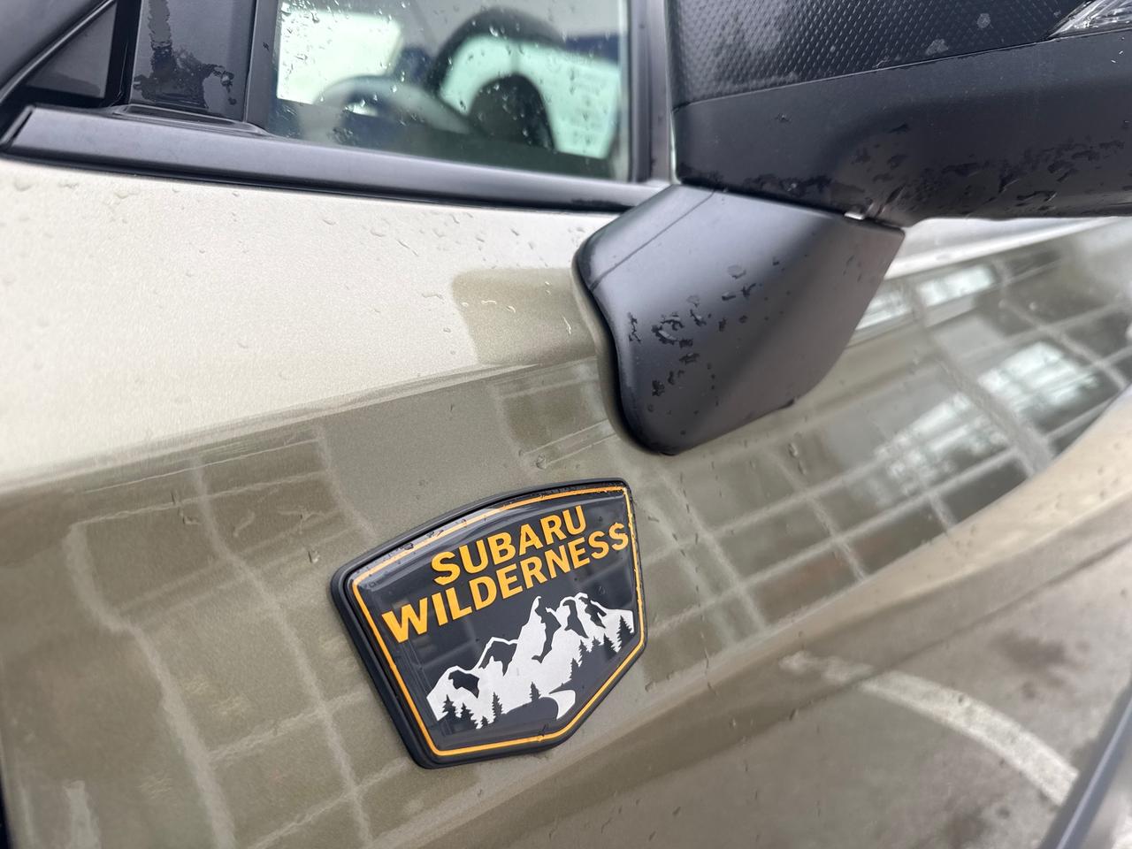 2023 Subaru Forester Wilderness 4dr All-Wheel Drive Photo