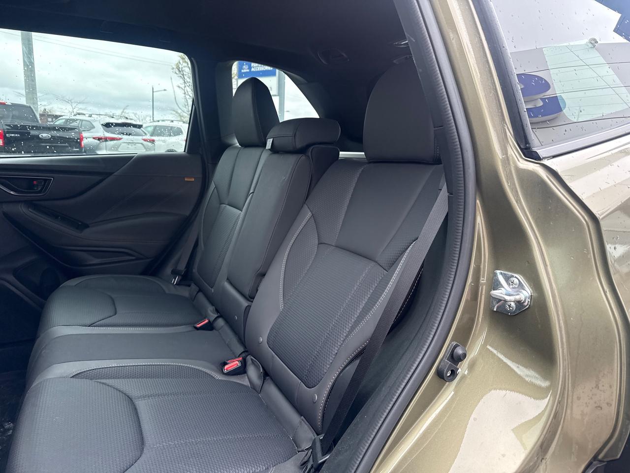2023 Subaru Forester Wilderness 4dr All-Wheel Drive Photo