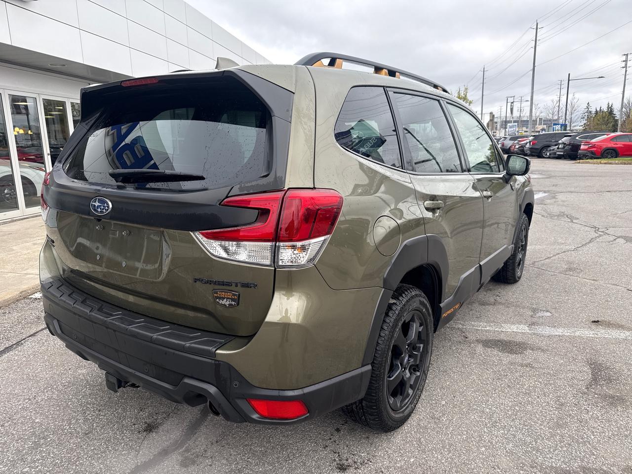 2023 Subaru Forester Wilderness 4dr All-Wheel Drive Photo