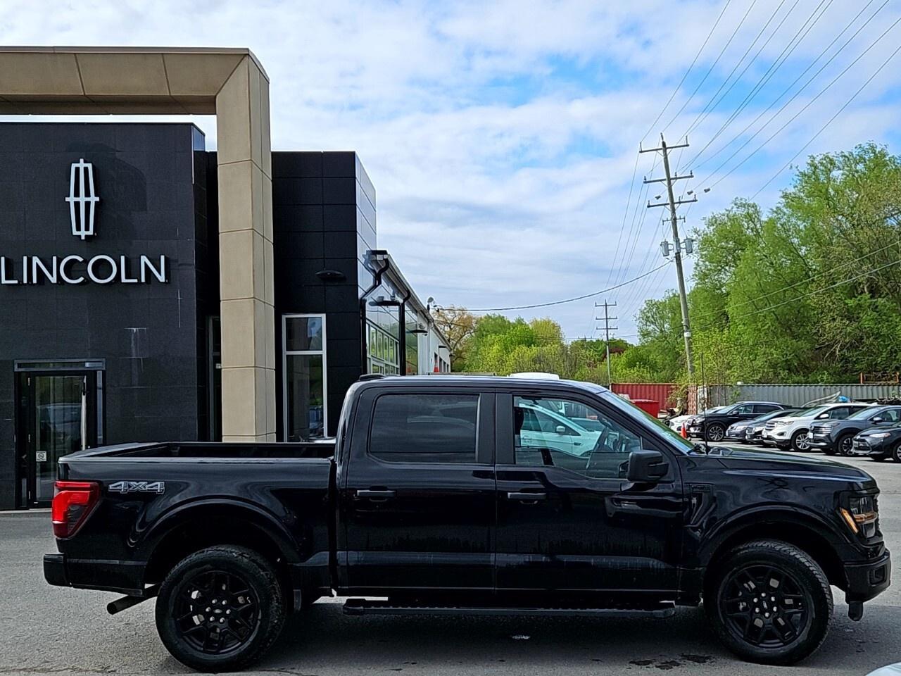 2024 Ford F-150 STX    BLACK APPEARANCE PKG Photo