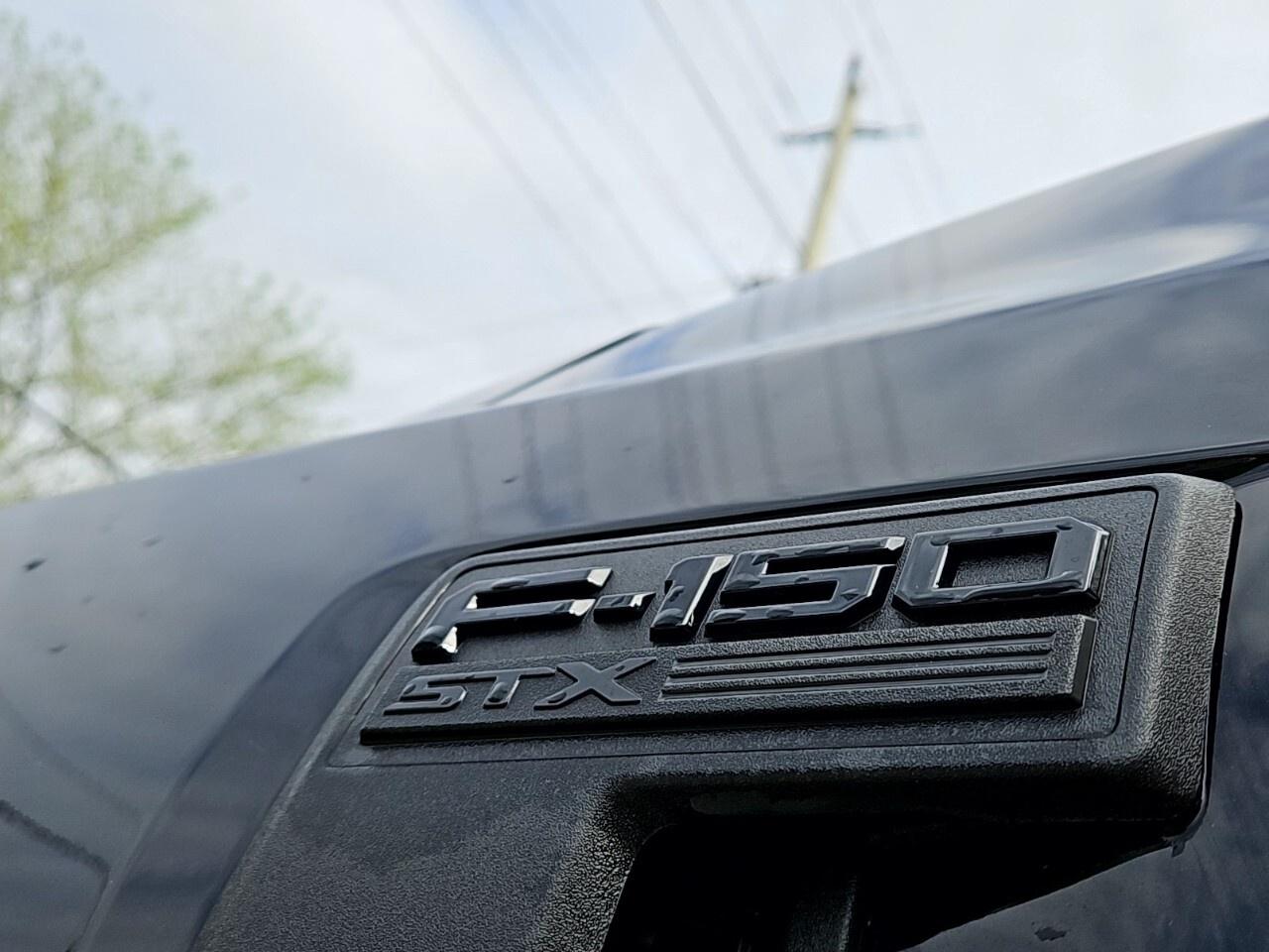 2024 Ford F-150 STX    BLACK APPEARANCE PKG Photo