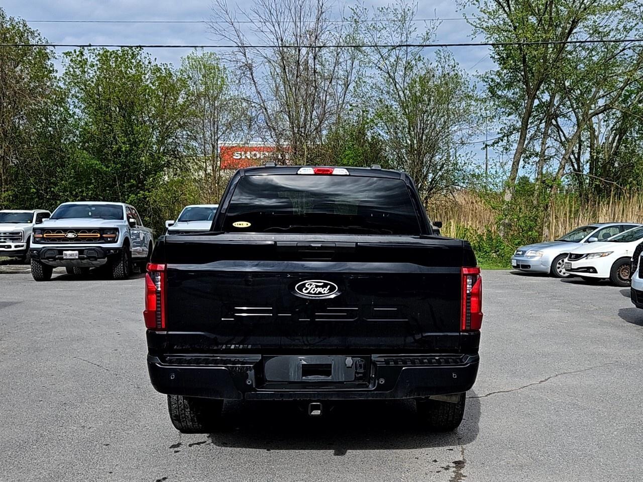 2024 Ford F-150 STX    BLACK APPEARANCE PKG Photo