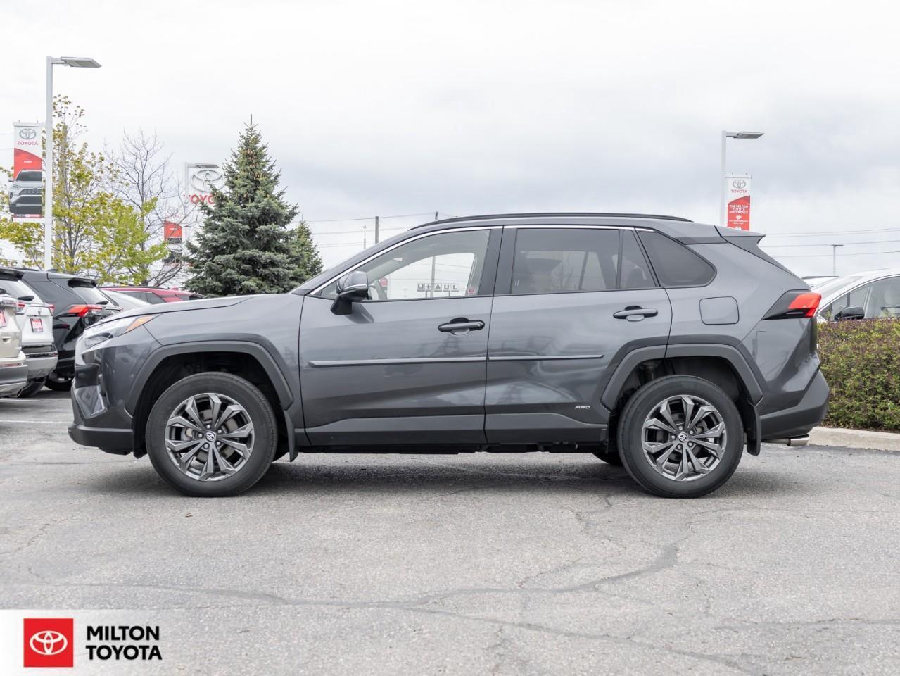 2024 Toyota RAV4 Hybrid XLE PREMIUM AWD LEATHER SEATING SUNROOF CARPLAY ON Photo