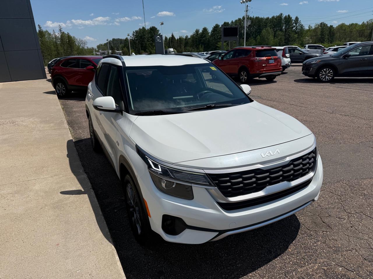 2022 Kia Seltos LX 4dr All-Wheel Drive Photo
