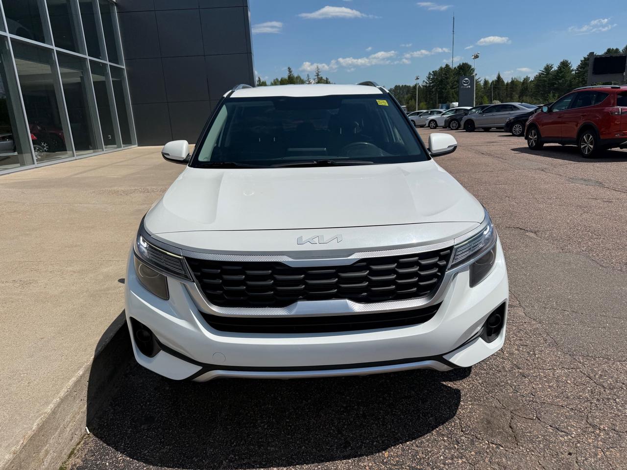 2022 Kia Seltos LX 4dr All-Wheel Drive Photo
