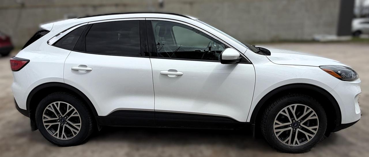 2020 Ford Escape SEL 4dr All-Wheel Drive Photo