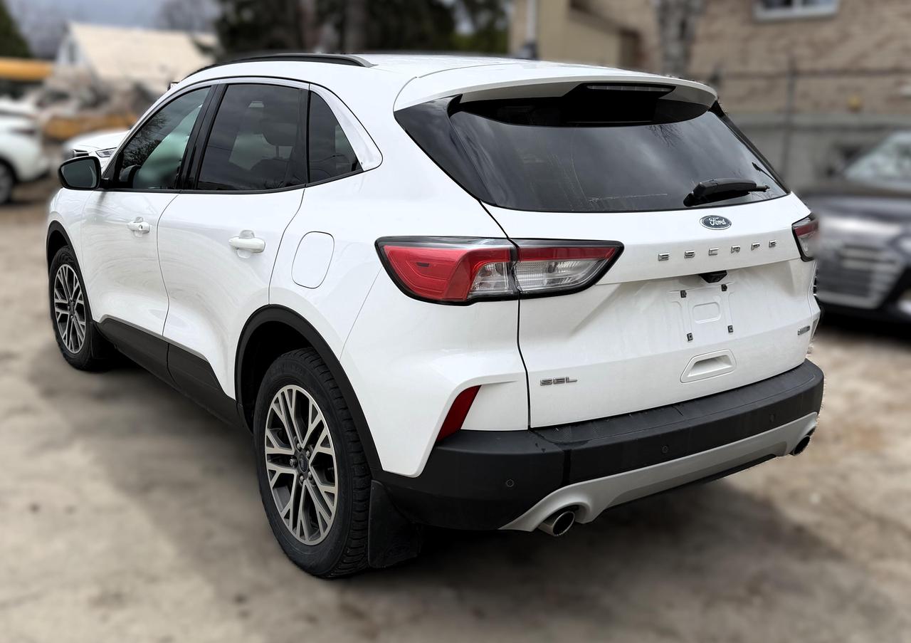 2020 Ford Escape SEL 4dr All-Wheel Drive Photo