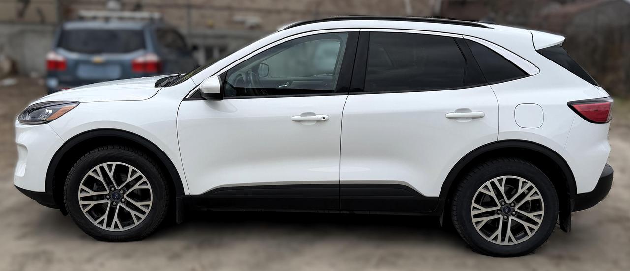 2020 Ford Escape SEL 4dr All-Wheel Drive Photo