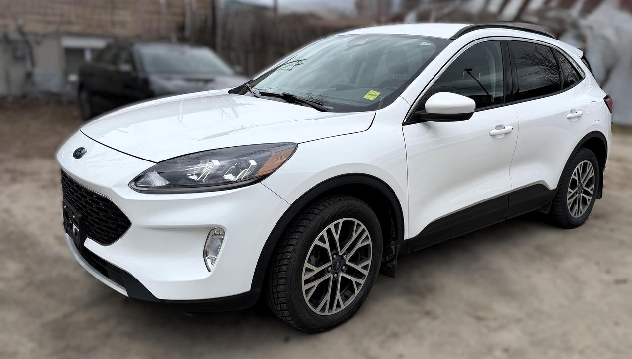 2020 Ford Escape SEL 4dr All-Wheel Drive Photo
