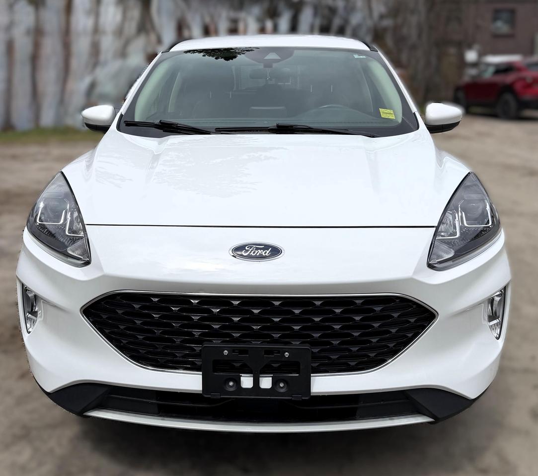 2020 Ford Escape SEL 4dr All-Wheel Drive Photo