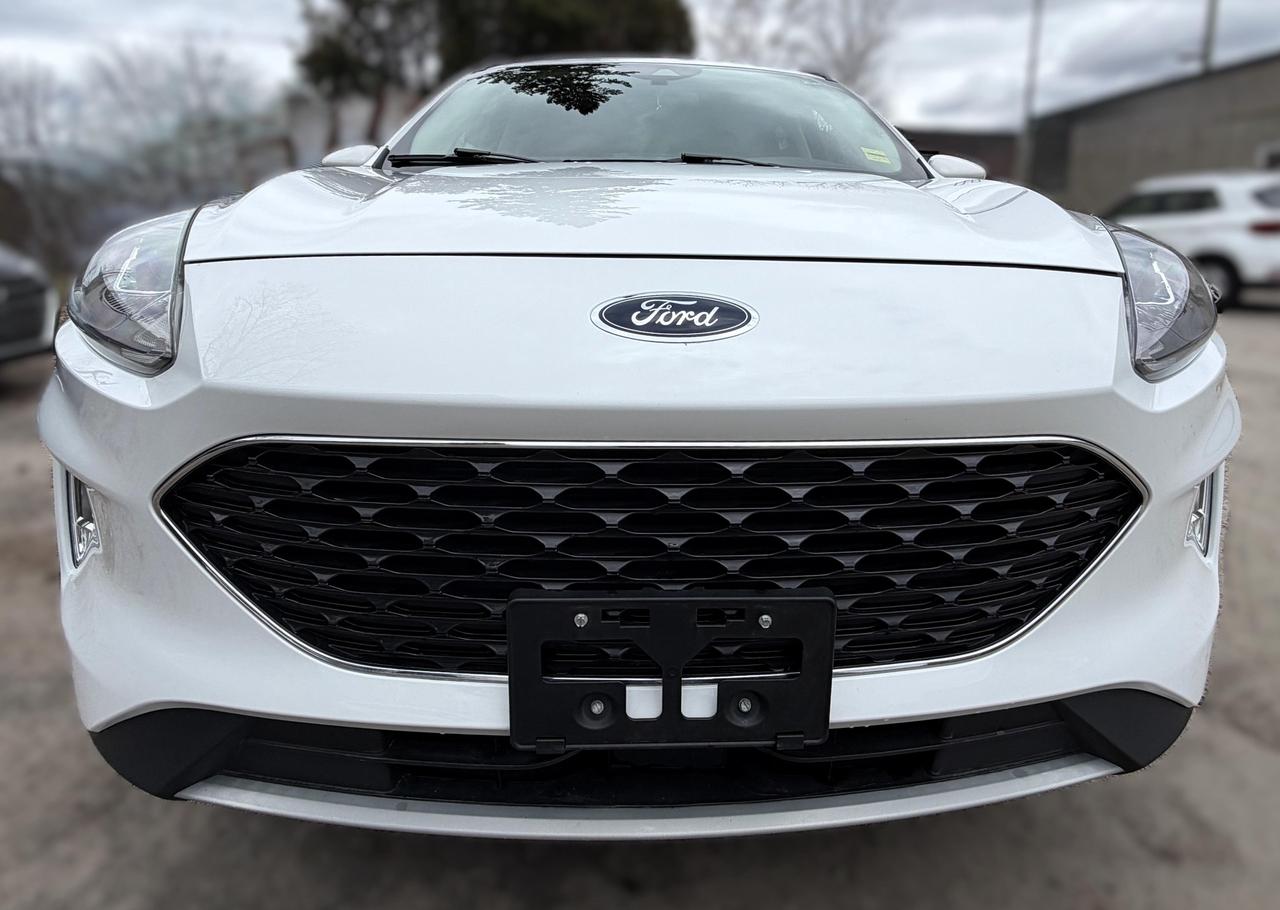 2020 Ford Escape SEL 4dr All-Wheel Drive Photo