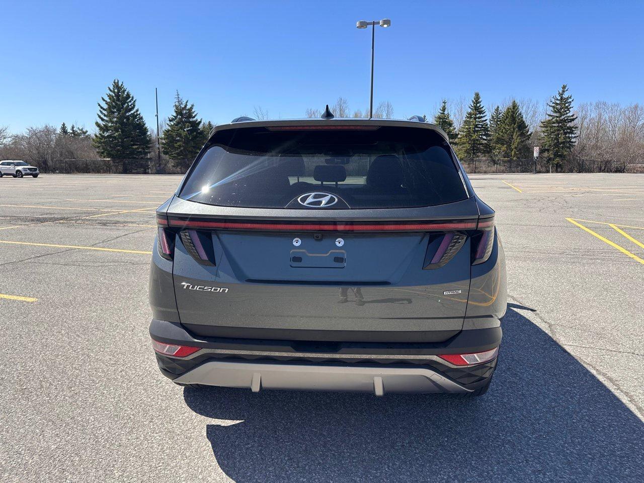2022 Hyundai Tucson SEL Photo