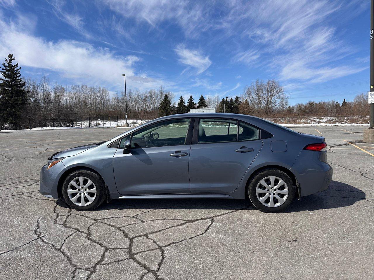 2020 Toyota Corolla SE Photo