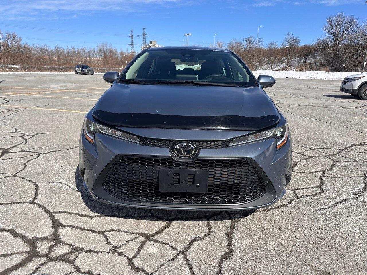 2020 Toyota Corolla SE Photo