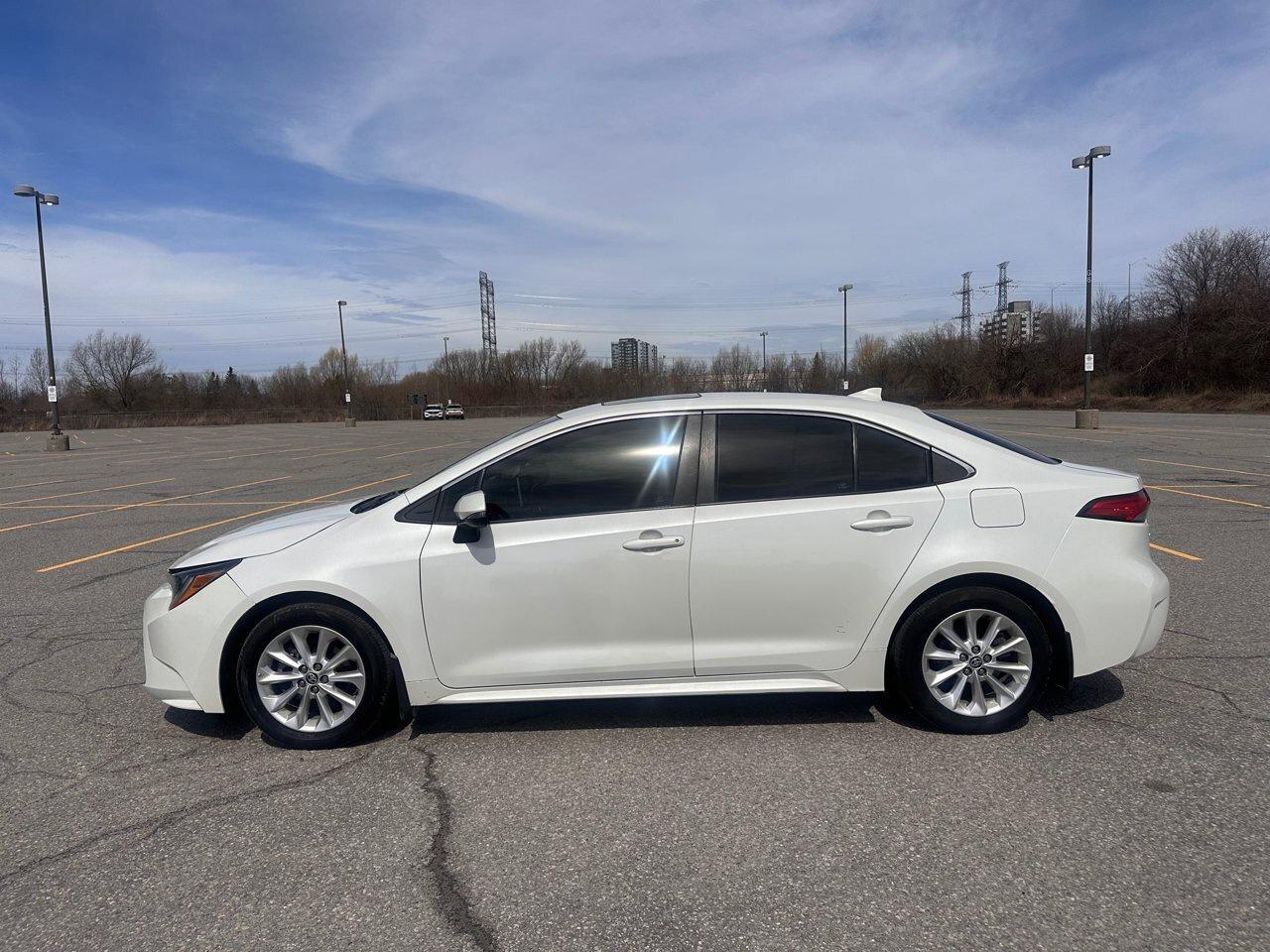 2020 Toyota Corolla SE Photo