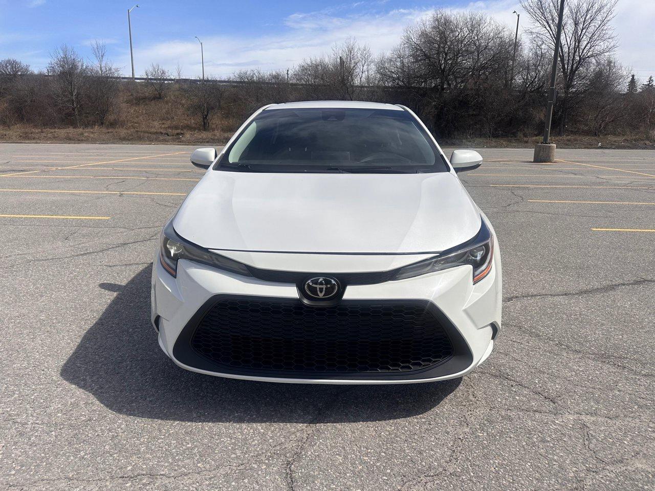 2020 Toyota Corolla SE Photo