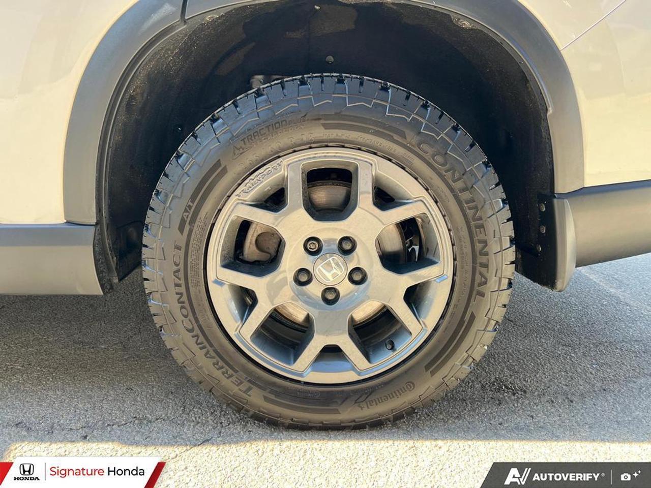 2025 Honda Pilot TrailSport Photo