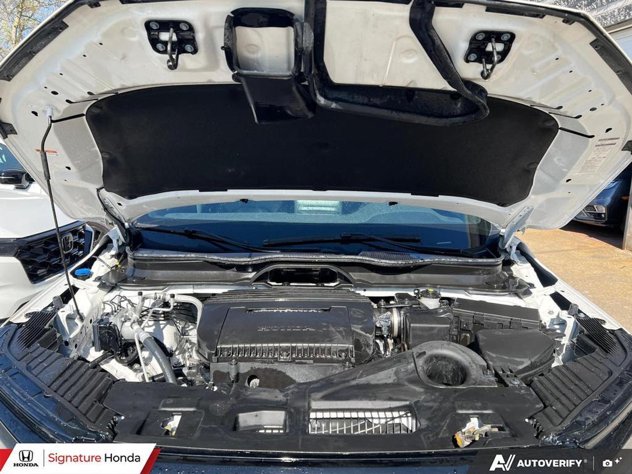 2025 Honda Pilot TrailSport Photo